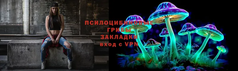 даркнет формула  Беломорск  Галлюциногенные грибы Psilocybe 